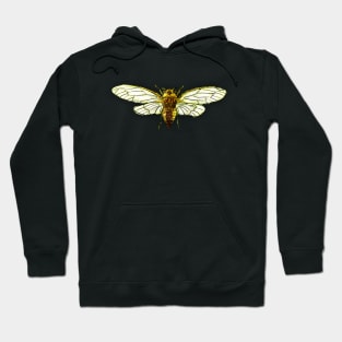 Bugs-1 Cicada Grasshopper Hoodie